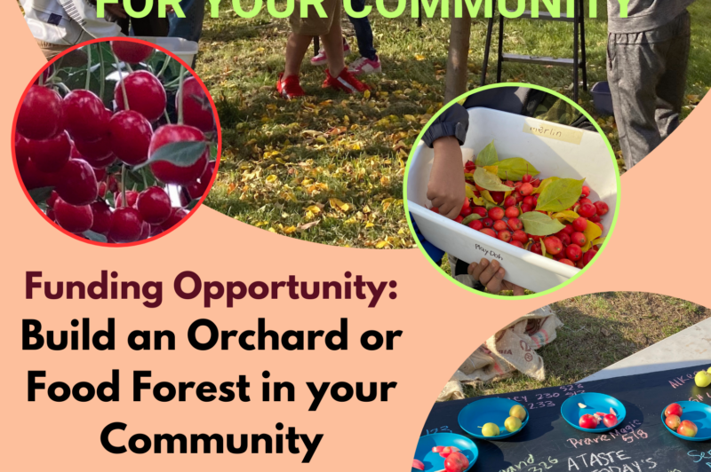 Orchards and Food Forests (GROW-OFF) Grant Program 